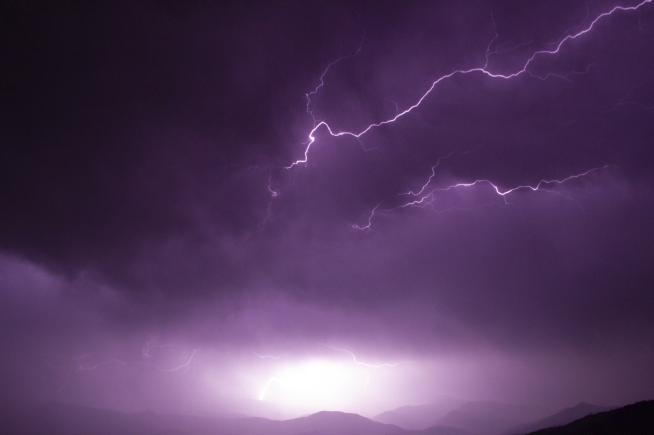 Stormy Weather: Sturdy Protection