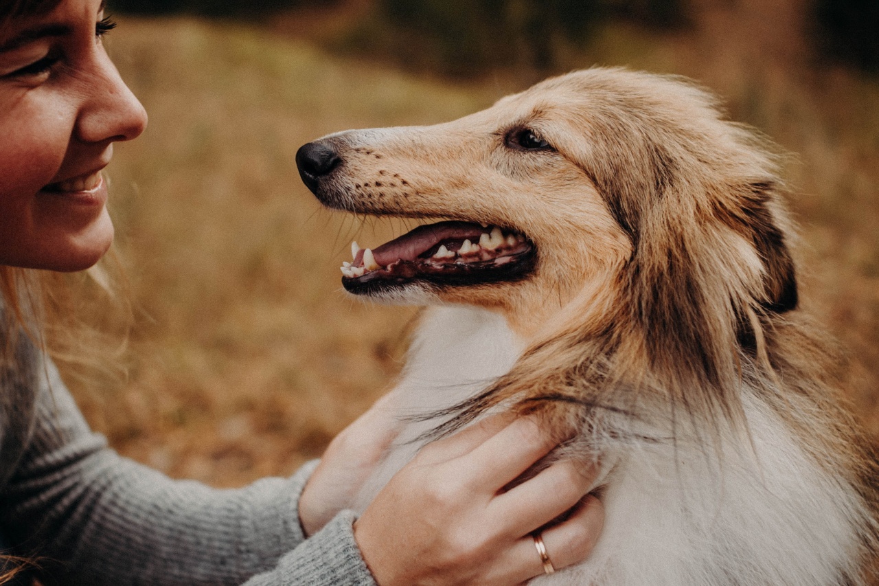 Tea: Our faithful companion for every season