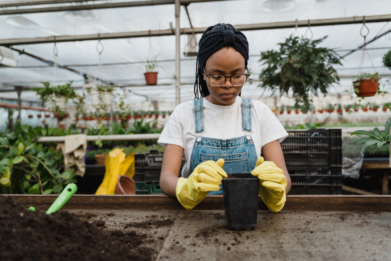 The Growth of Our Job