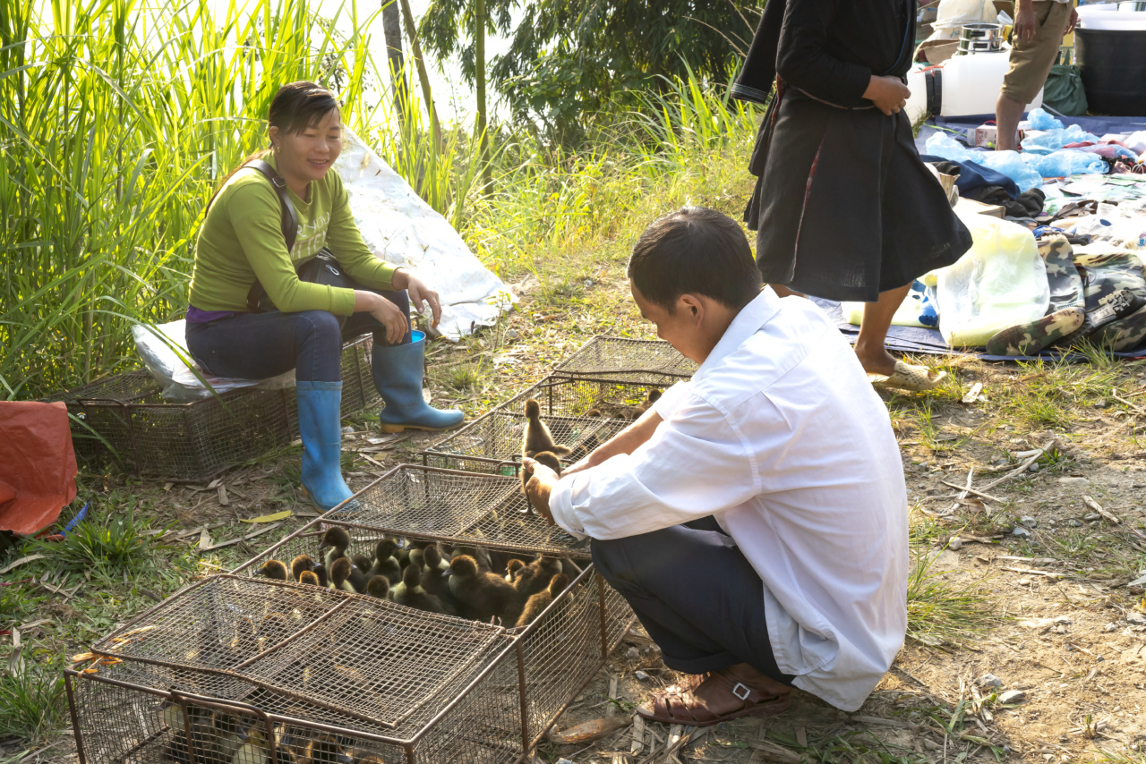 Blindness to poverty: Why some choose to ignore the struggles of the poor