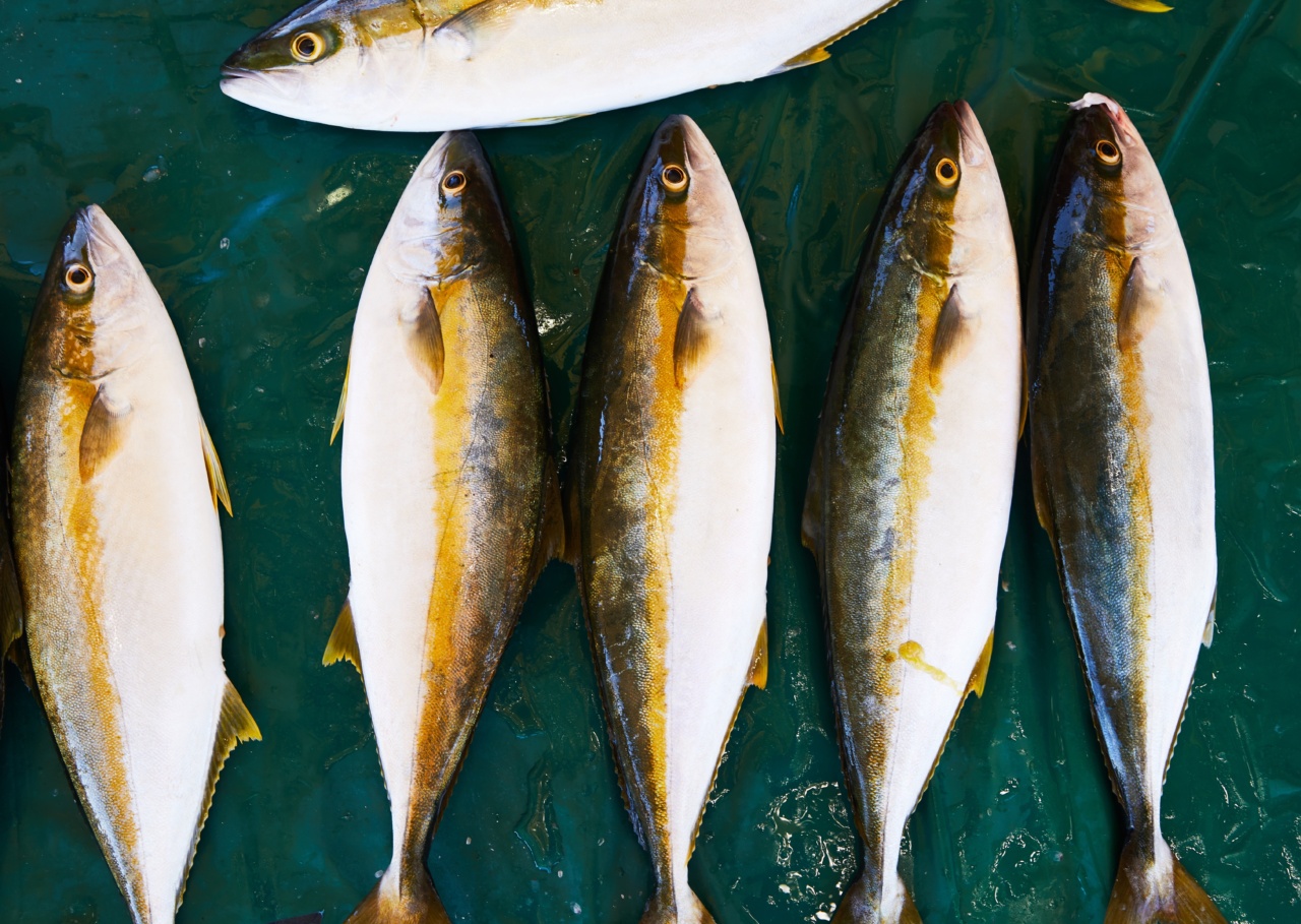 How to properly clean seafood
