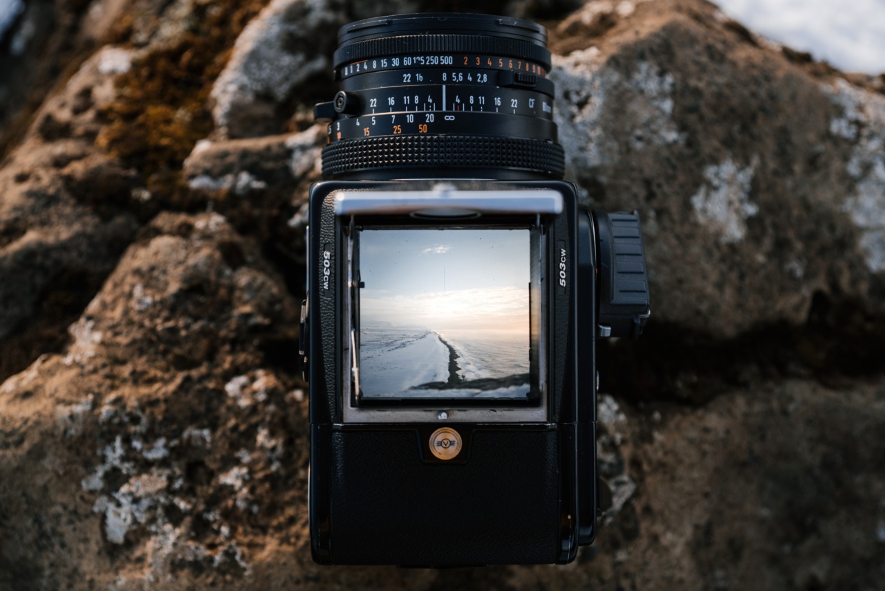 From conception to birth: A photo journey