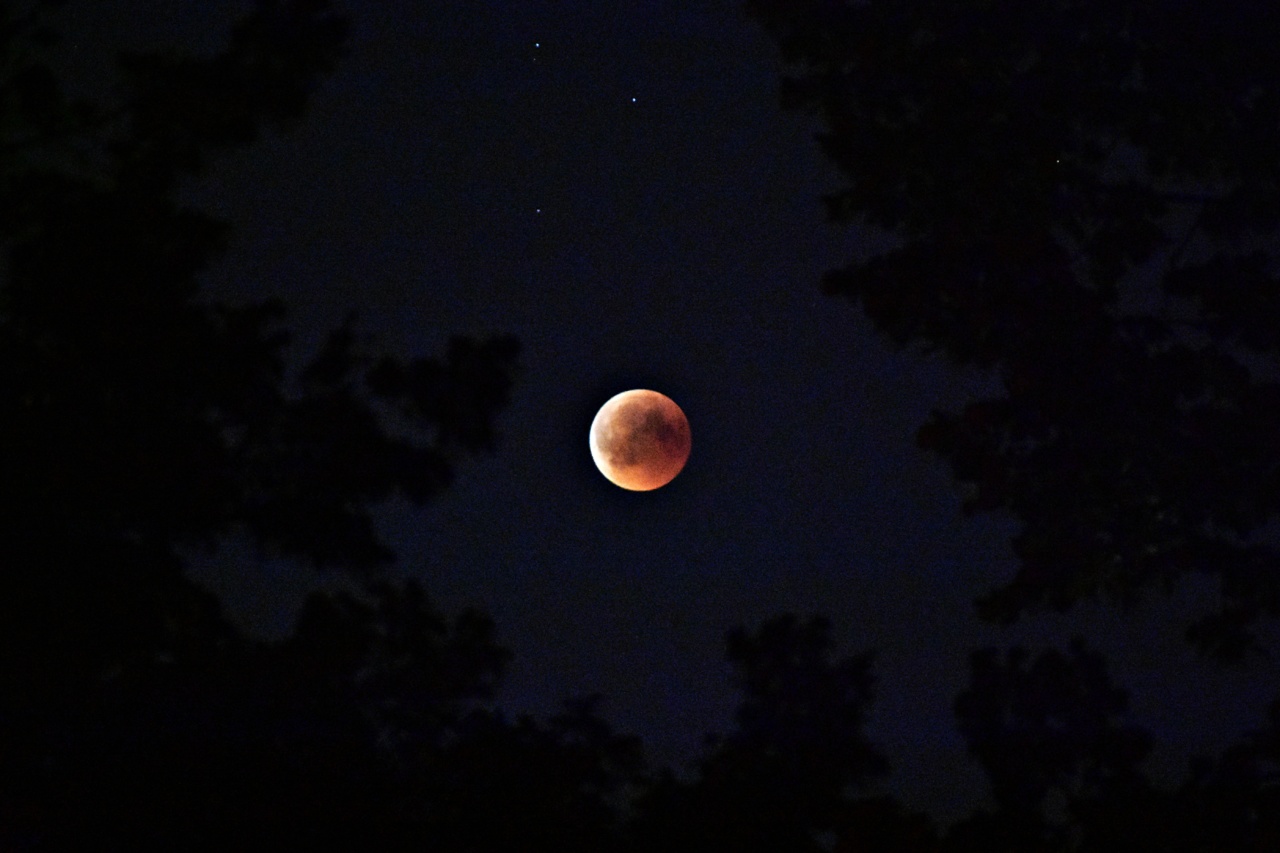 The Influence of the Full Moon on Our Sleep Patterns