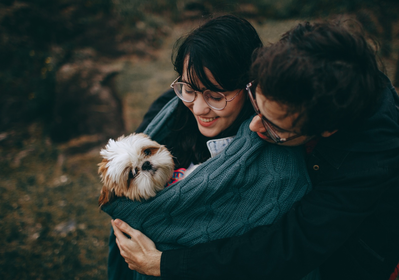 Quiz: Are You a True Dog Lover?