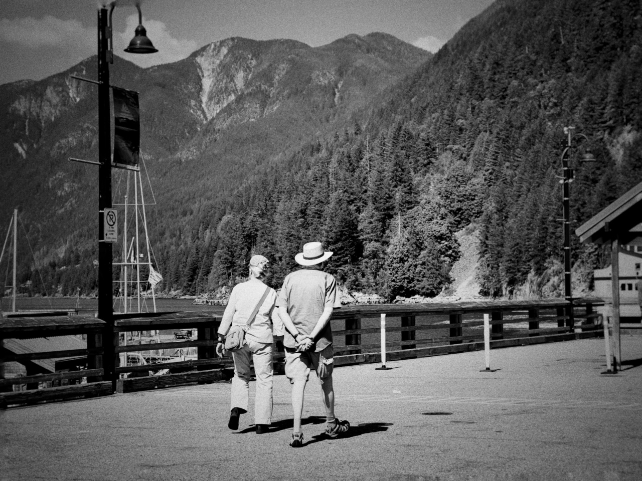 The link between walking speed and cognitive decline in the elderly