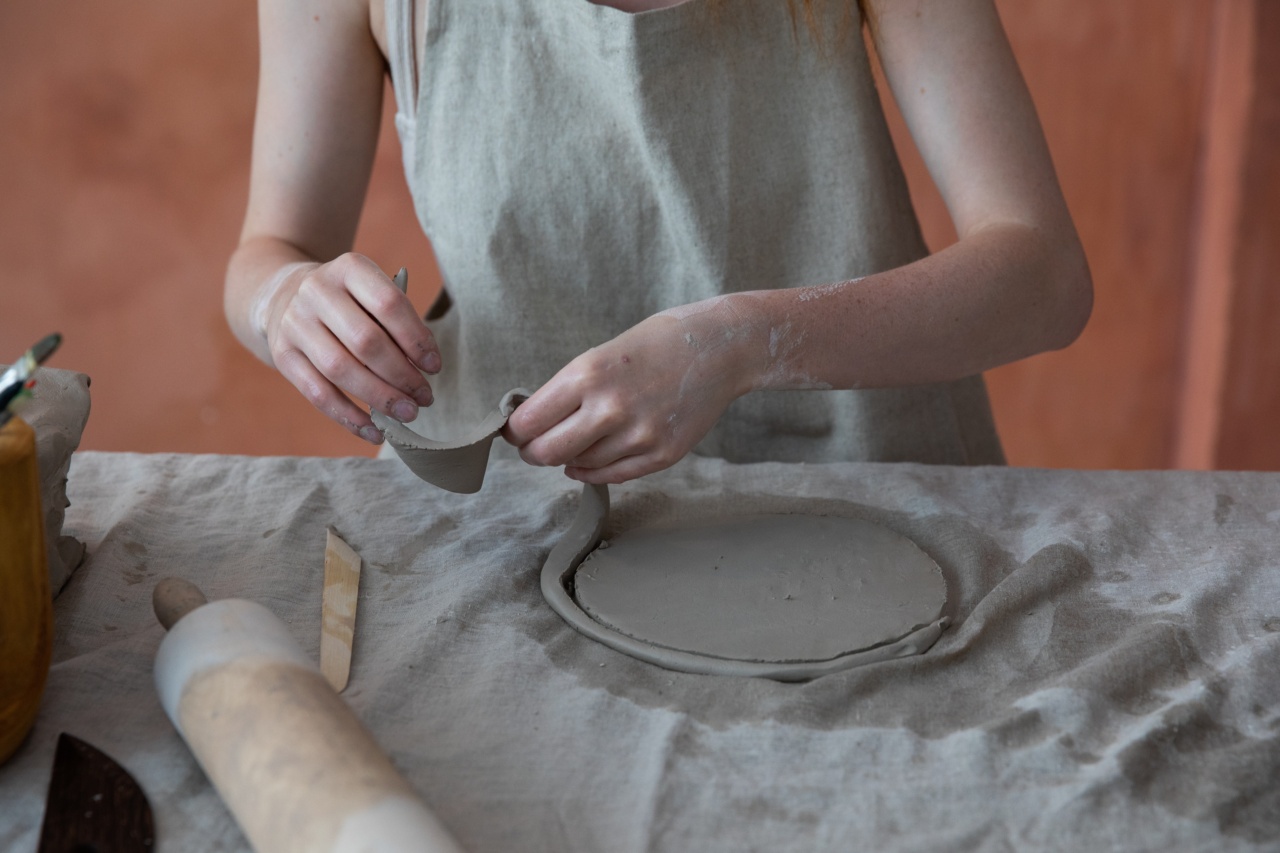 The Art of Bathroom Etiquette: Mastering the Pan to Yogo Technique