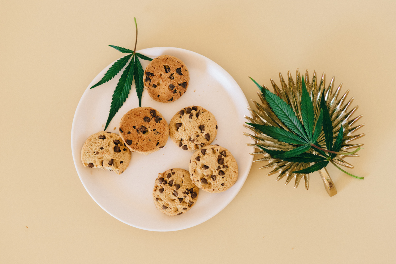 The surprising medicinal properties of weeds