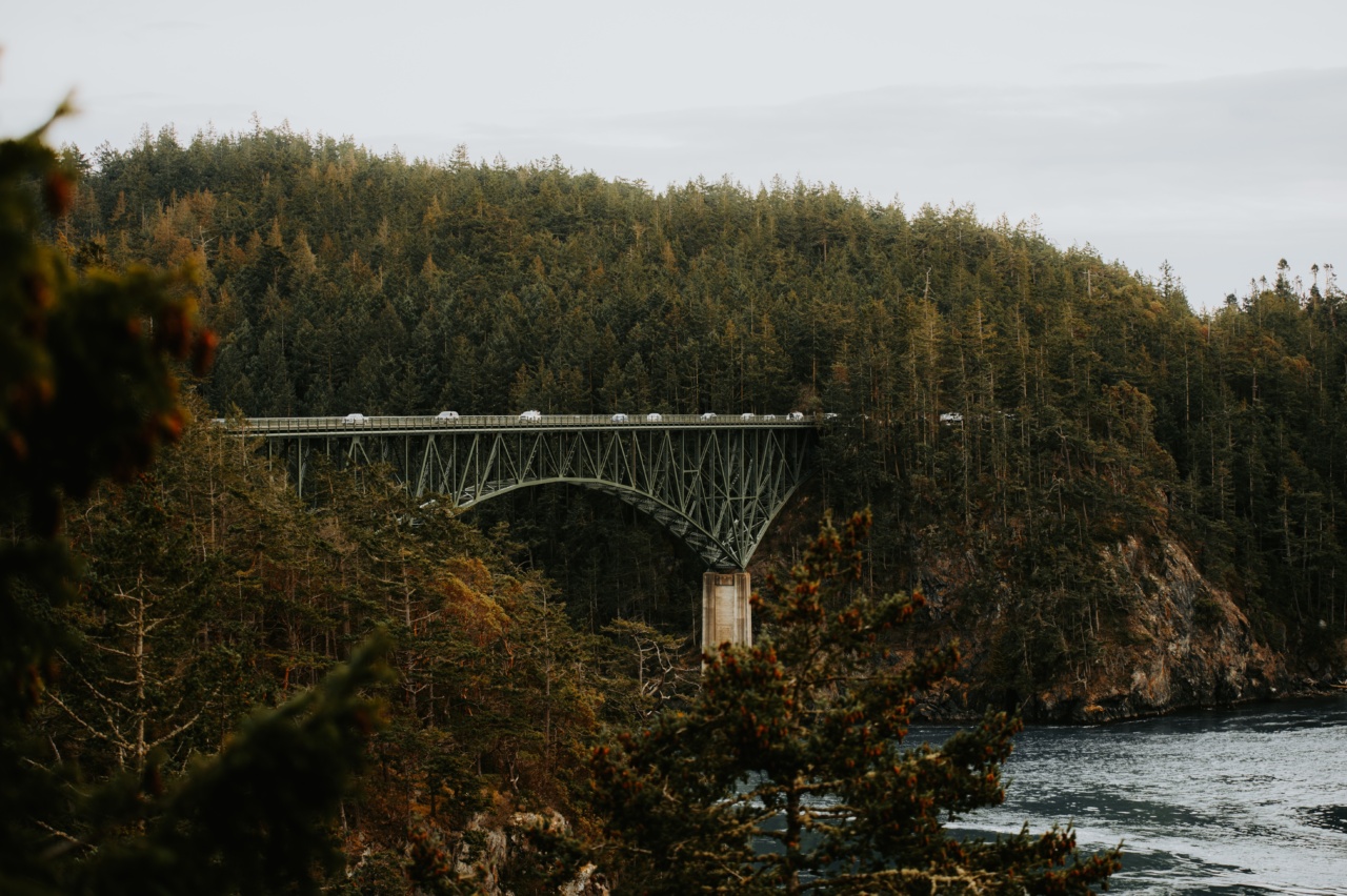 Feeling Guilty and Forgetful: The Connection