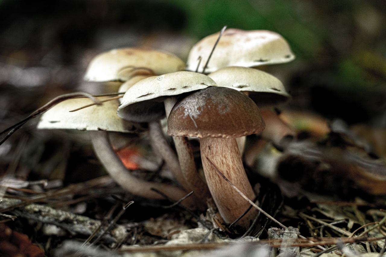 Doubts of Mushrooms in Speech? Try the Quick Test!