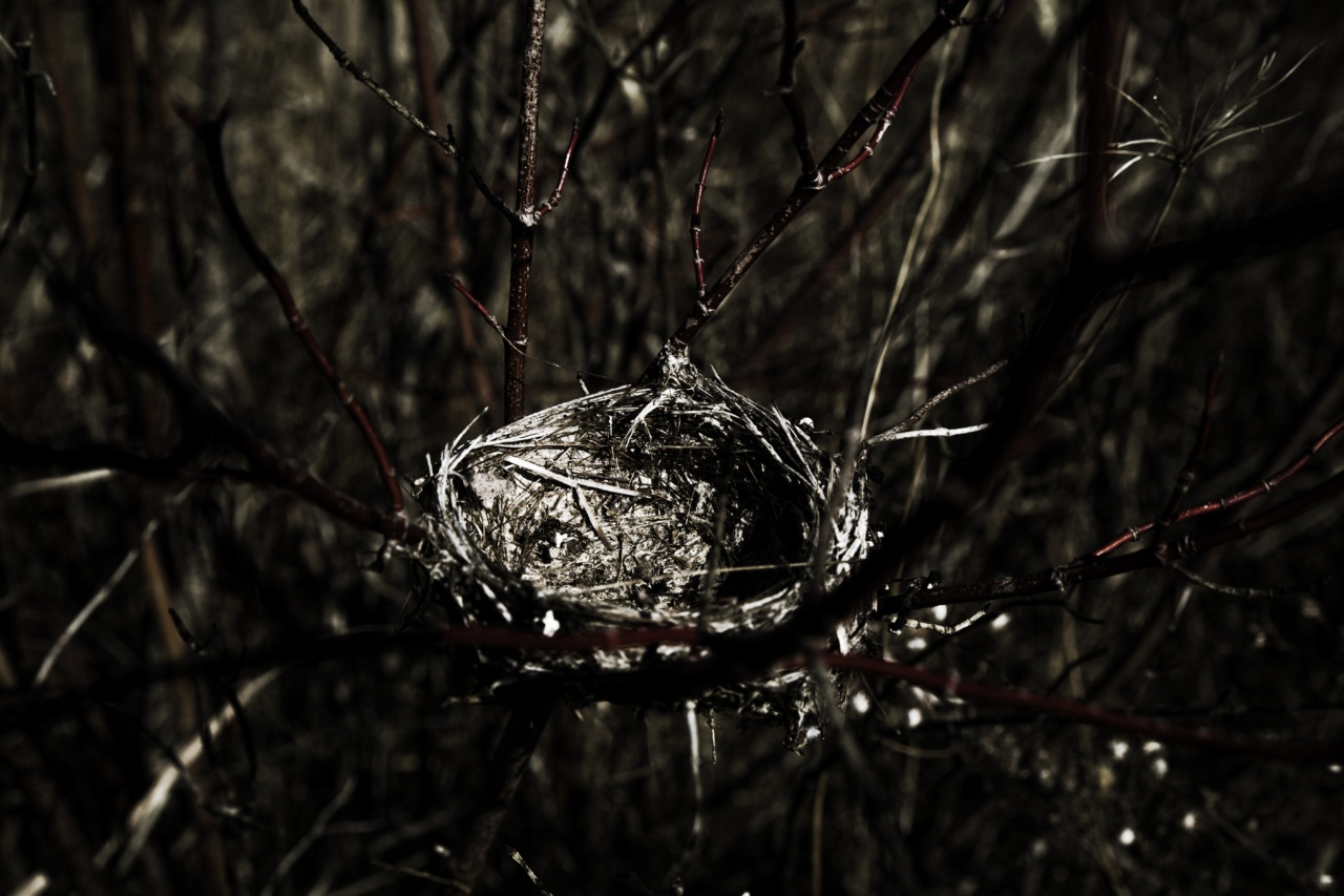 When parenthood turns empty nest