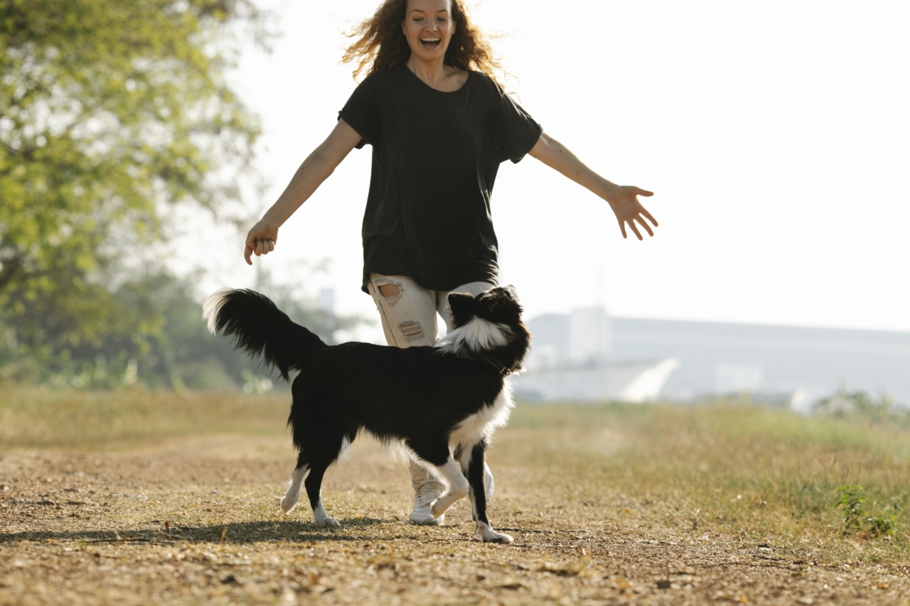 Ways to Make Your Dog Happy