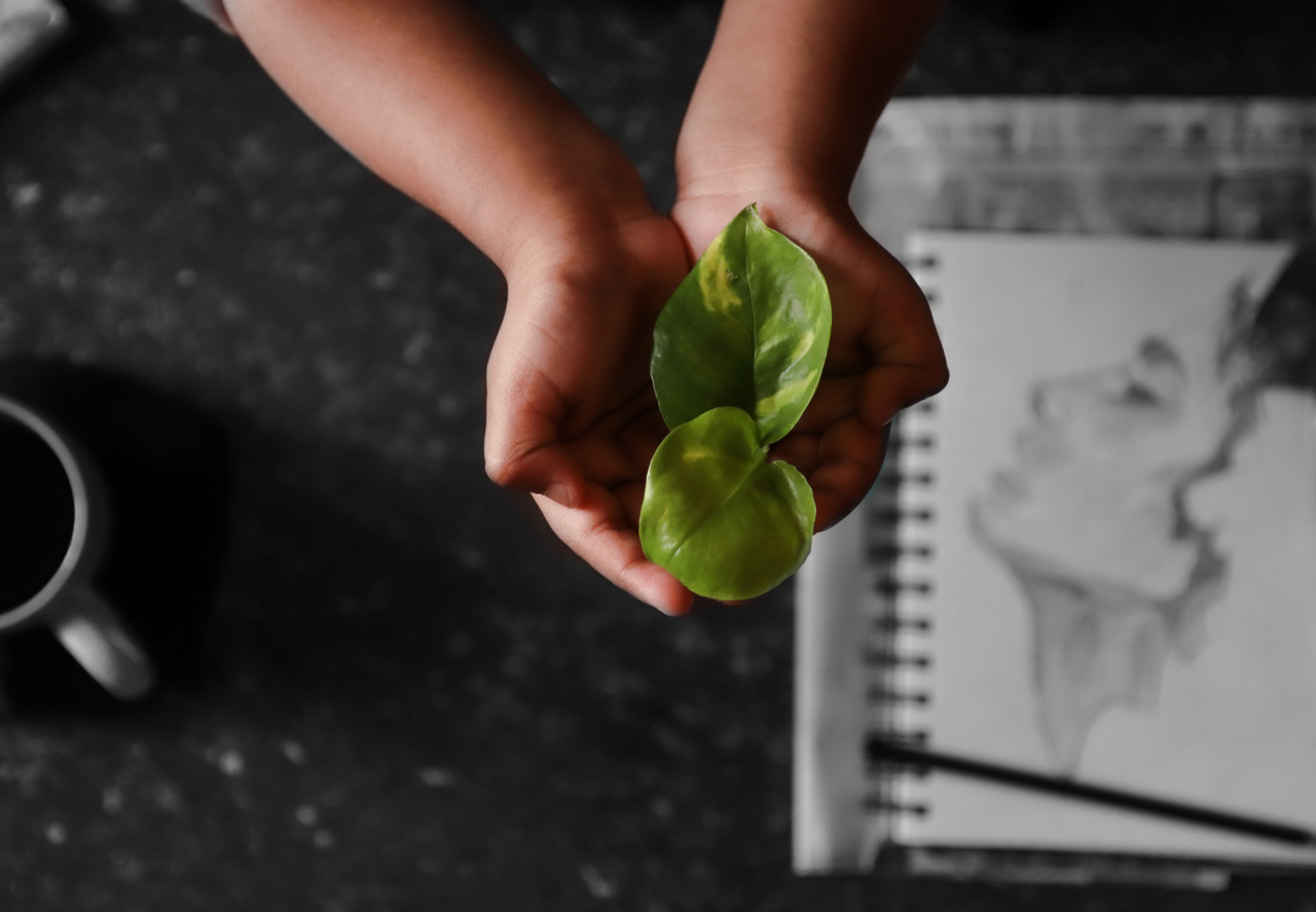 Research shows green tea reduces the risk of abdominal aortic aneurysm