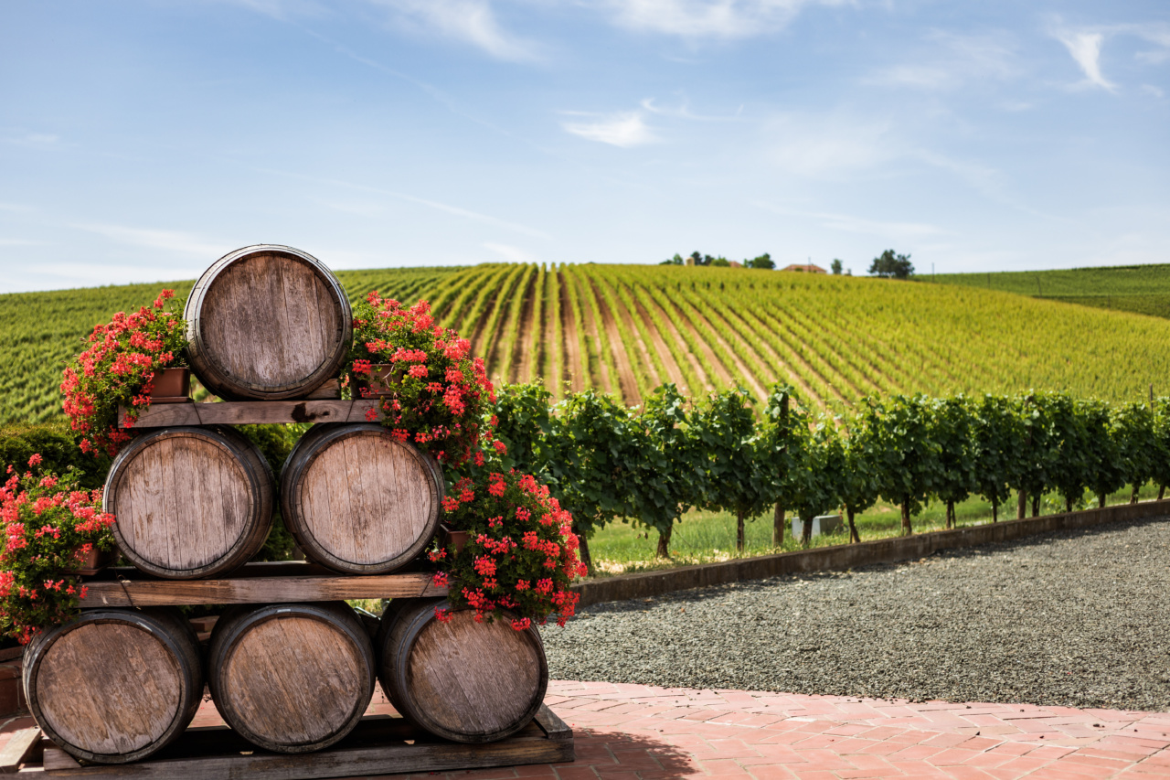 What Every Wine Enthusiast Needs to Know