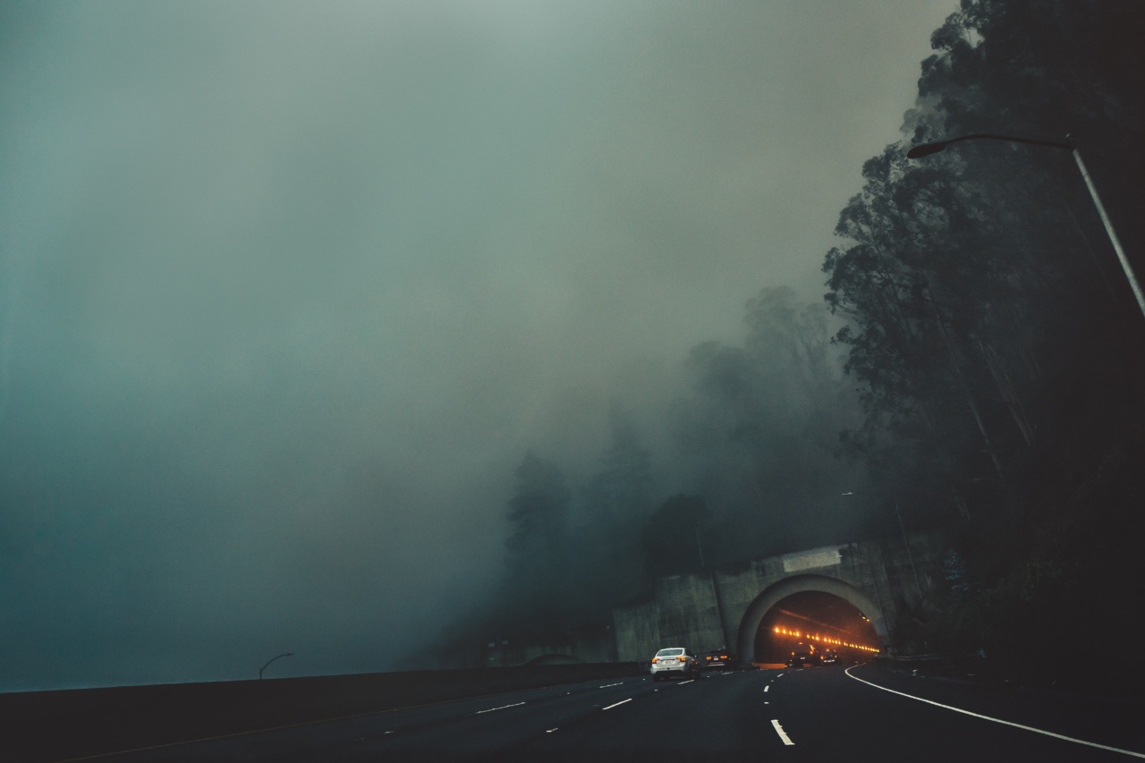 Unlocking the Mystery: How 11 Secrets Can Lead to Longevity