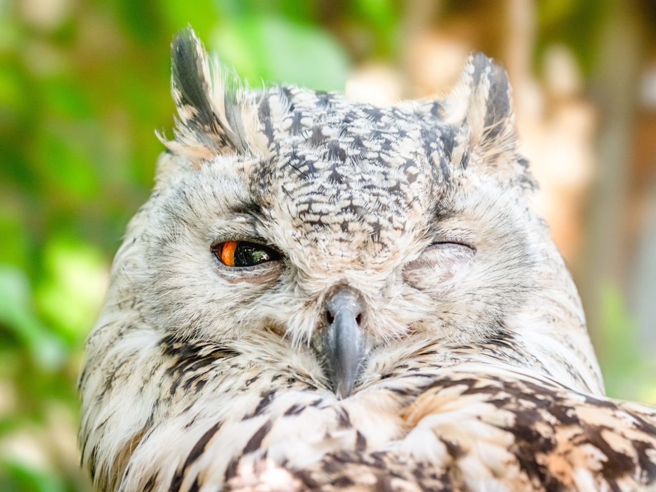Heart: Remarkable detection of nocturnal intruders
