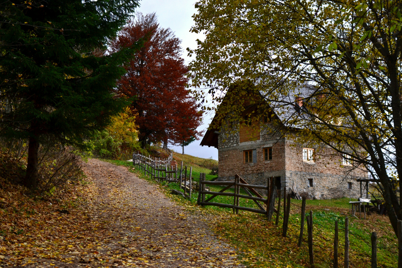 The Eroticism of Fall