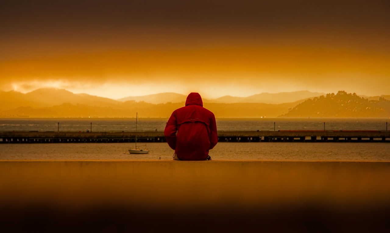 Dealing with Unemployment-Related Depression: Comparing America and Europe