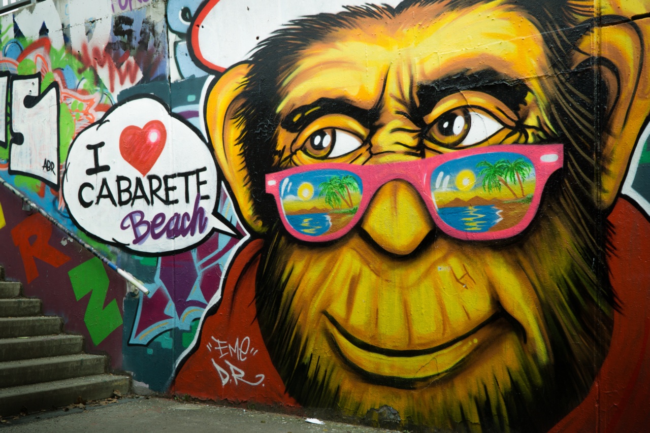 Paris discovers possible case of monkey blessing on its streets