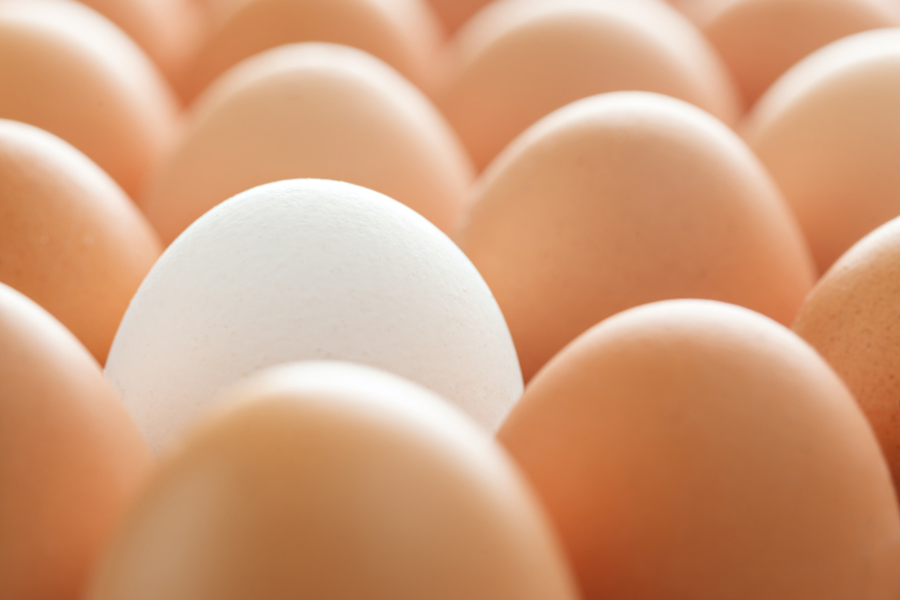 Are White and Brown Eggs Nutritionally Different?