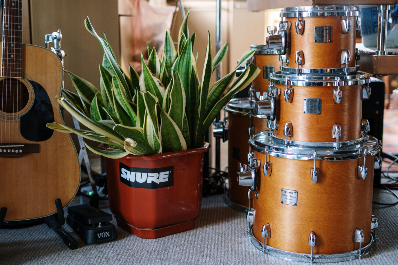 Drumming and Music: An All-Encompassing Guide
