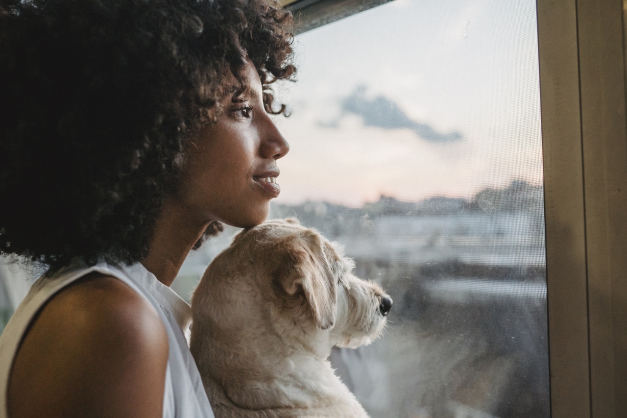 The Flea: A Close Look at a Dog’s Parasitic Friend