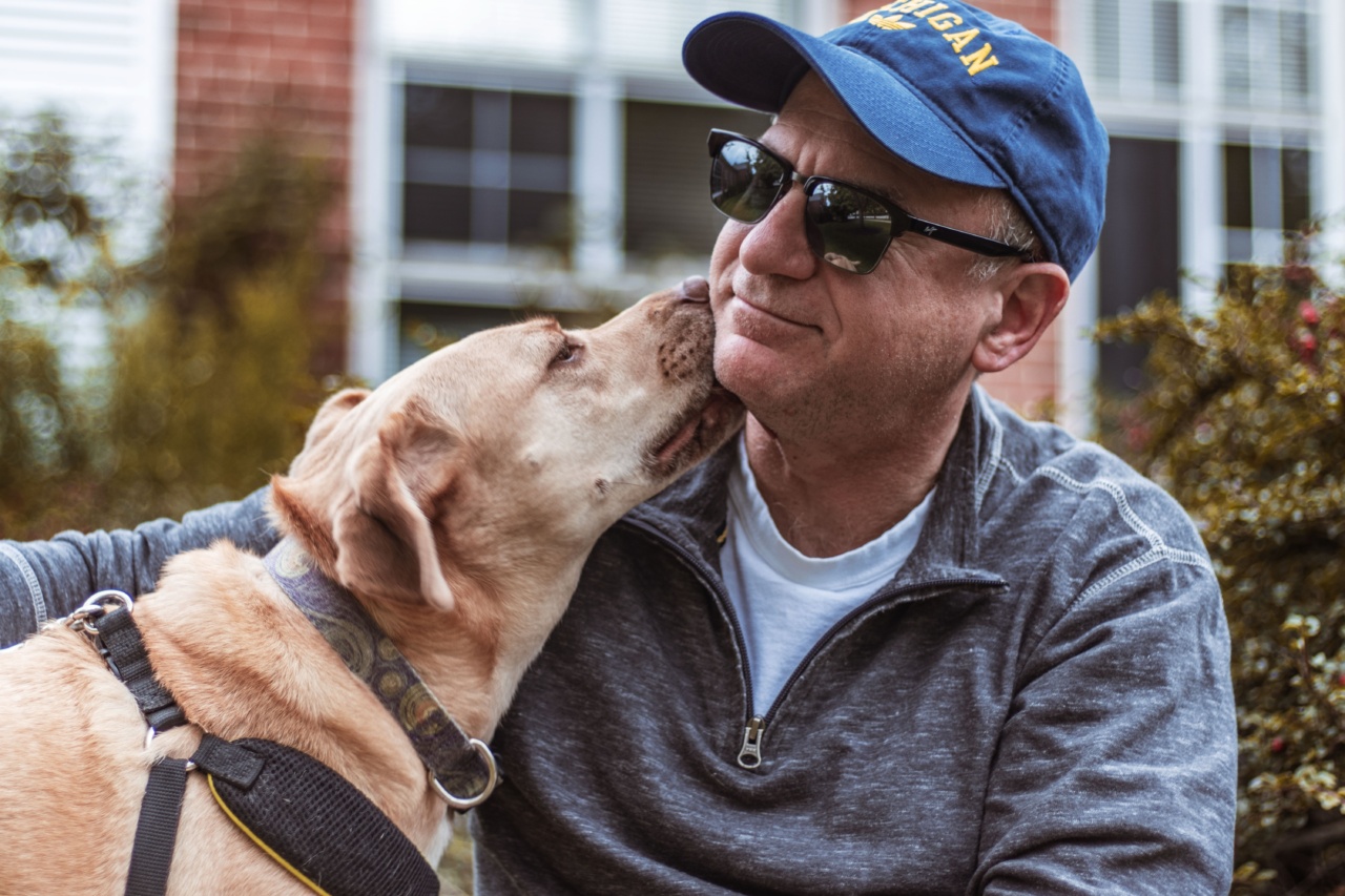 Can an elderly dog adoption increase our happiness?