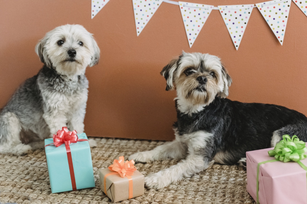 Is it a wise decision to gift a dog during the festivities?