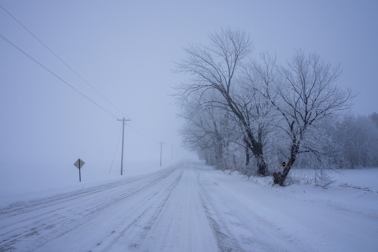 How to Improve Cold Tolerance: Factors to Consider