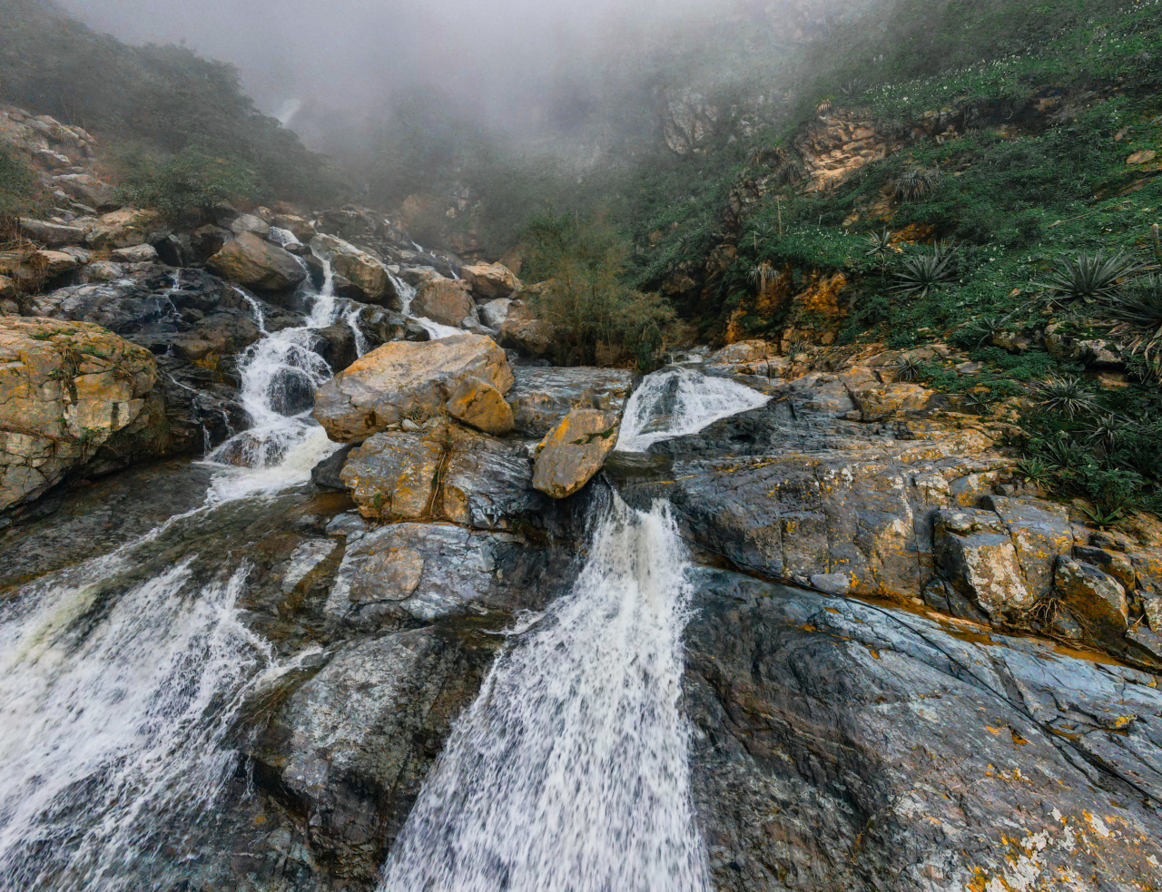 Preventing Waterfall with the Help of Tropical Fruit