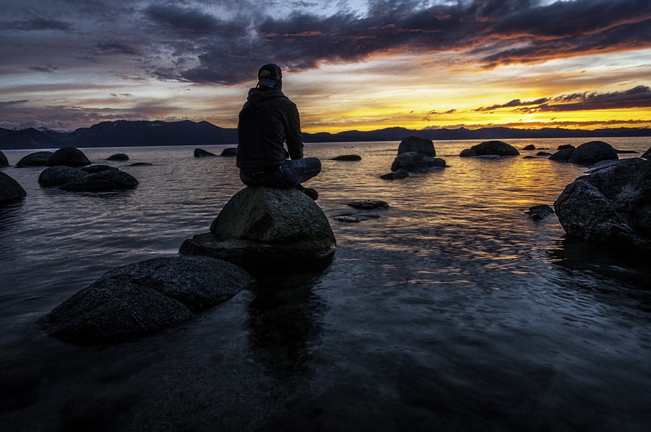 Valerian Root: Nature’s Calming Remedy