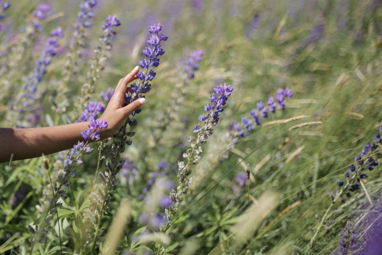 Regret weighing you down? 9 natural ways to feel more energized