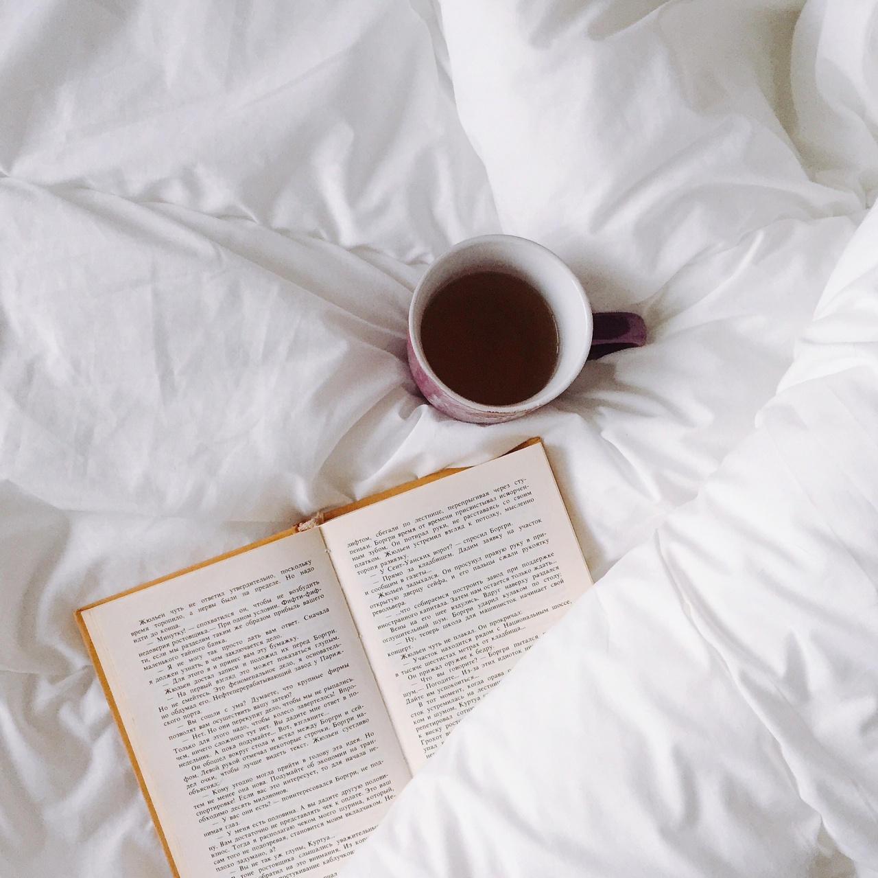 The ultimate guide on how to avoid bed mites in hot weather