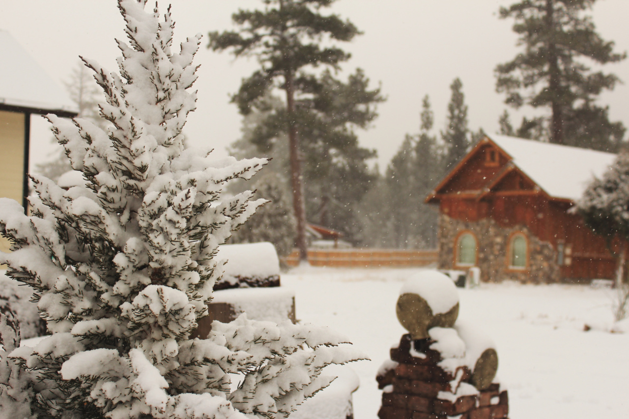 Escape the Winter Chill this Christmas