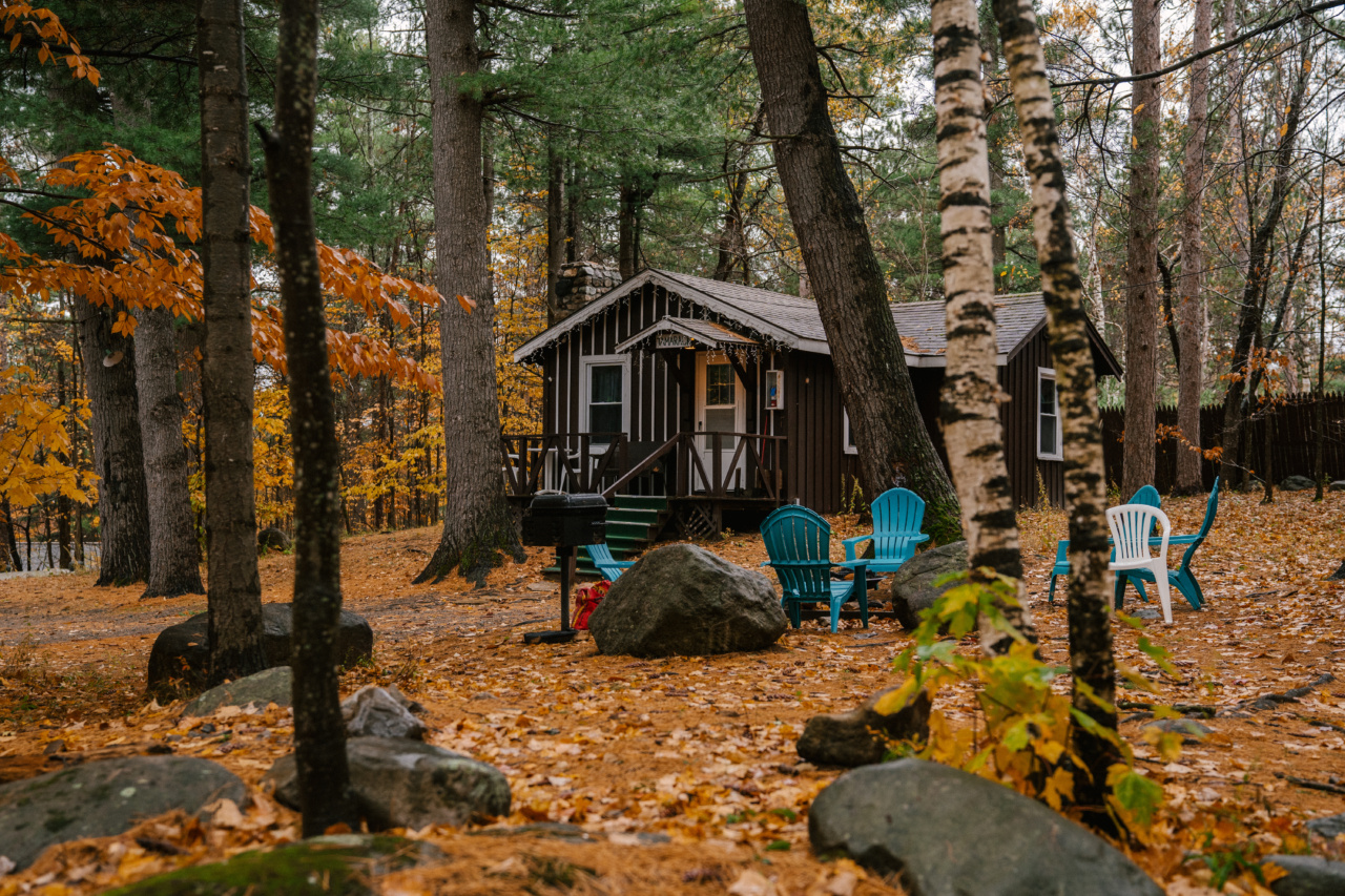 Find calm and relaxation with golden milk