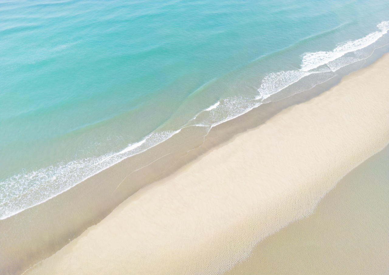 The Meaning of Paradise and its Treatment