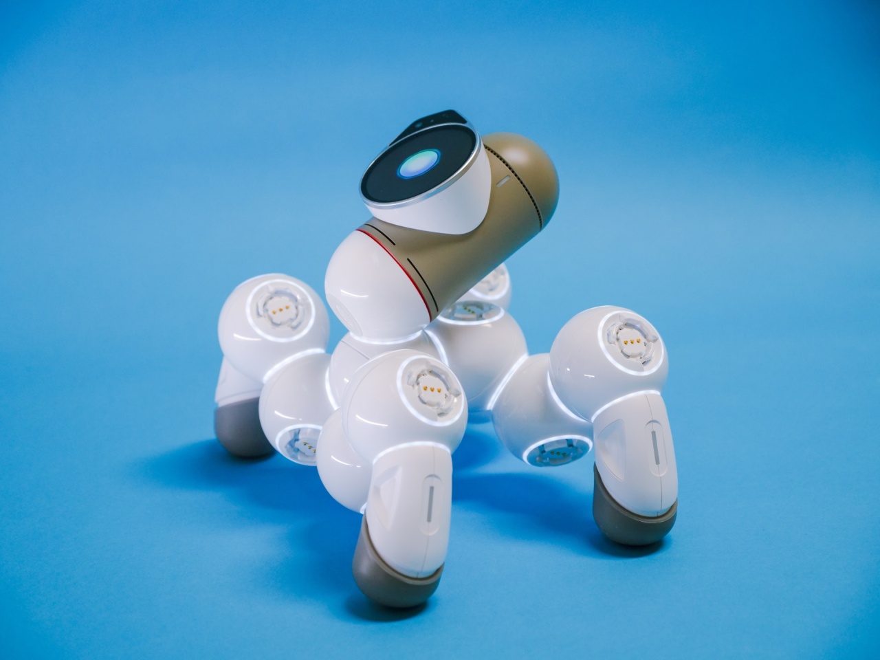 Advanced Robotic Treatment for Scoliosis and Kyphosis