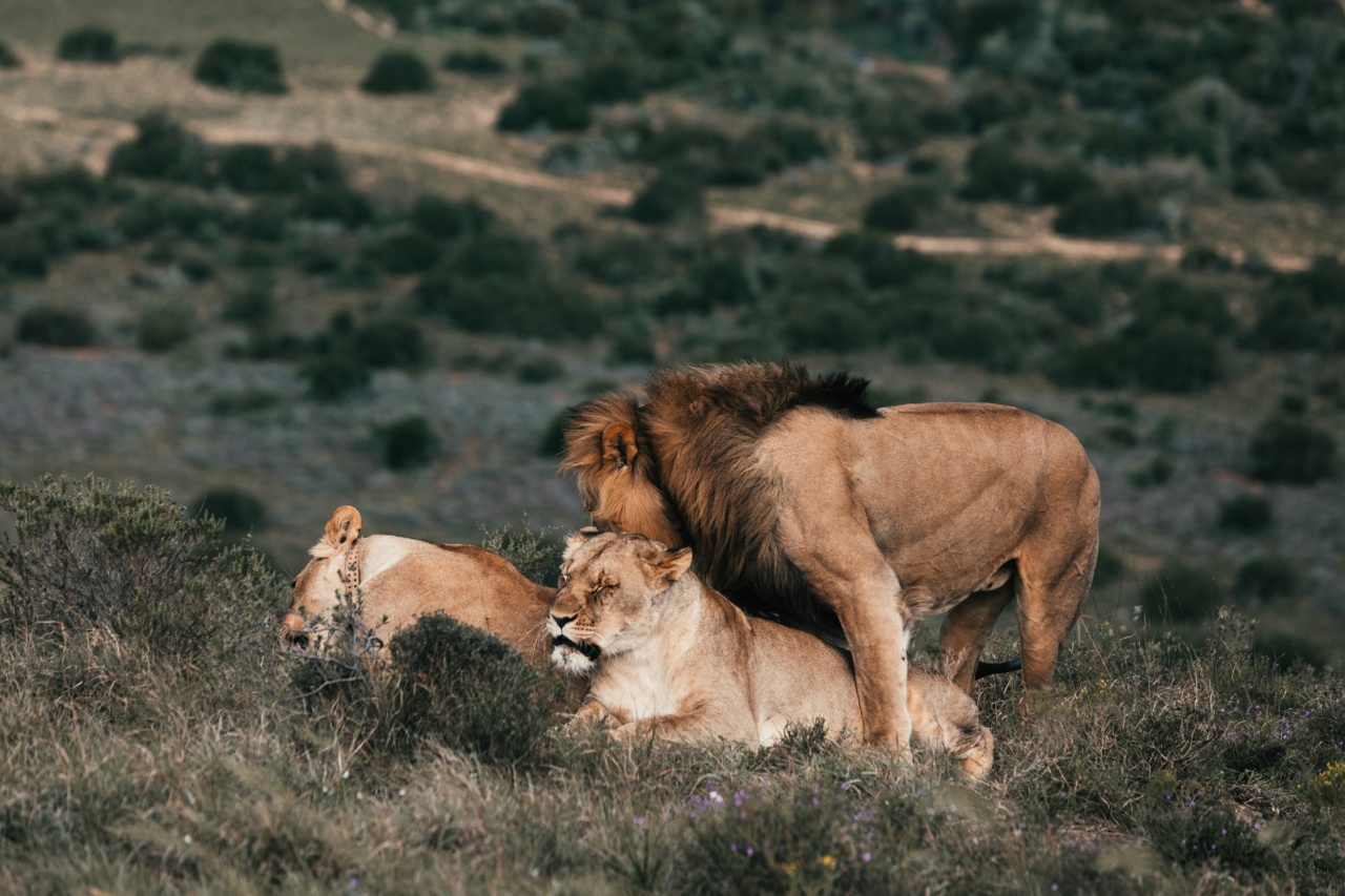 Factors affecting the growth of a relationship