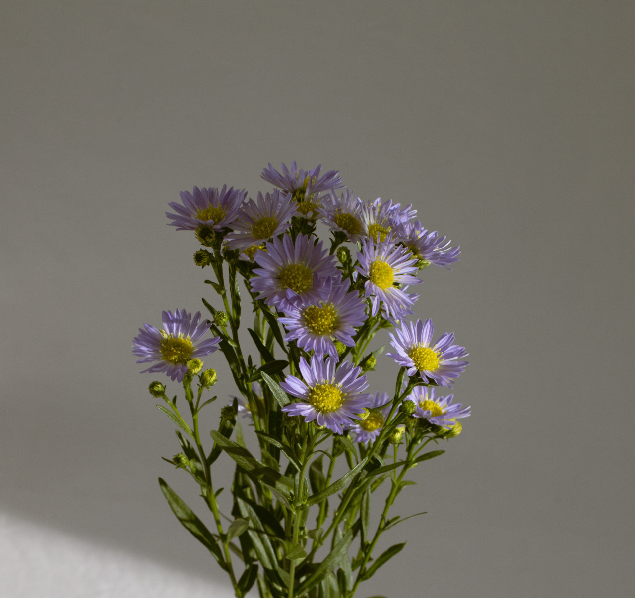 Beyond pollen: 7 surprising sources of allergies