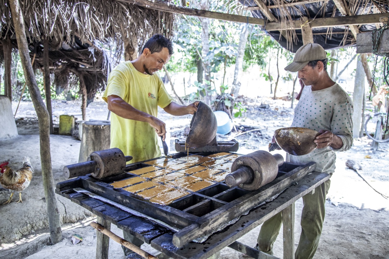 Panela vs Sugar: Which One is Healthier?