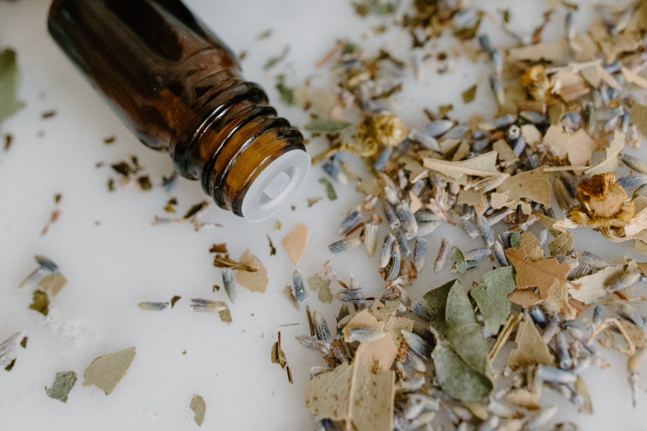 8 essential herbs for warding off dementia