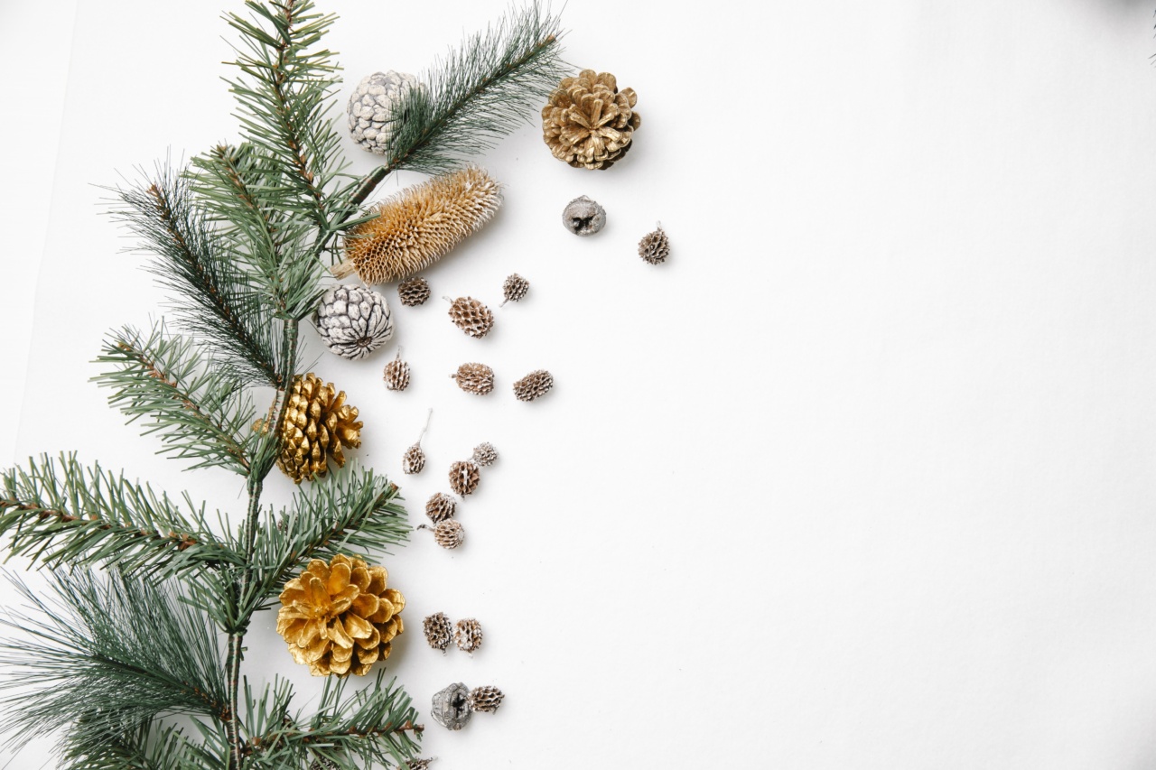 Get back in shape after holiday season with these tips