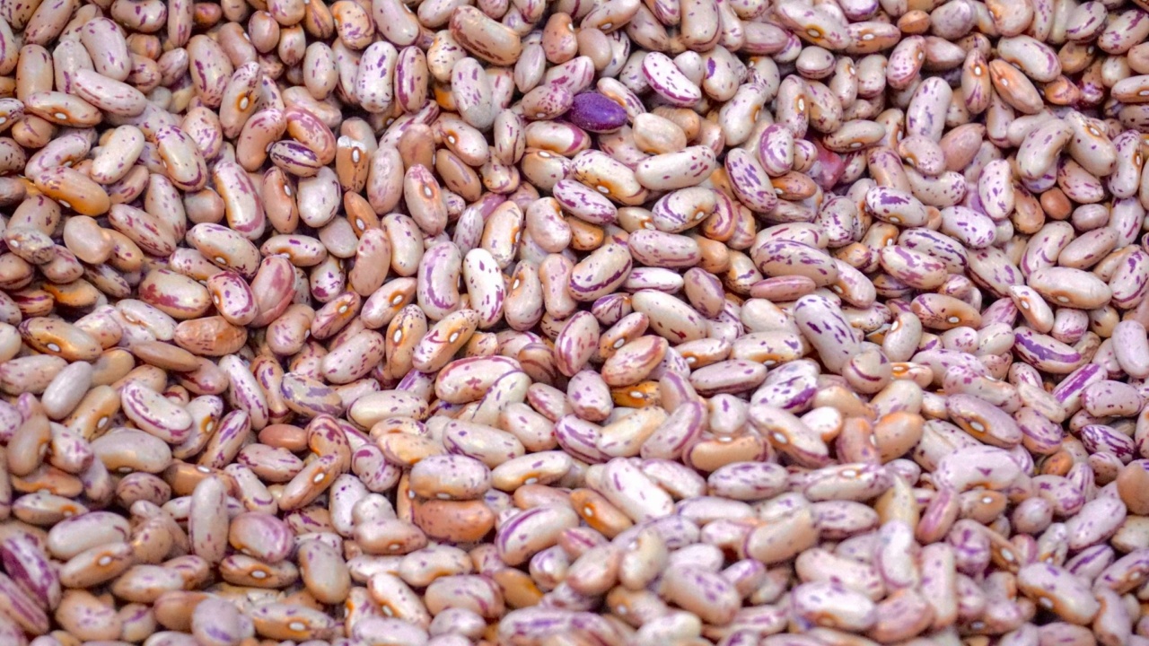 Low-sugar dry food for diabetics