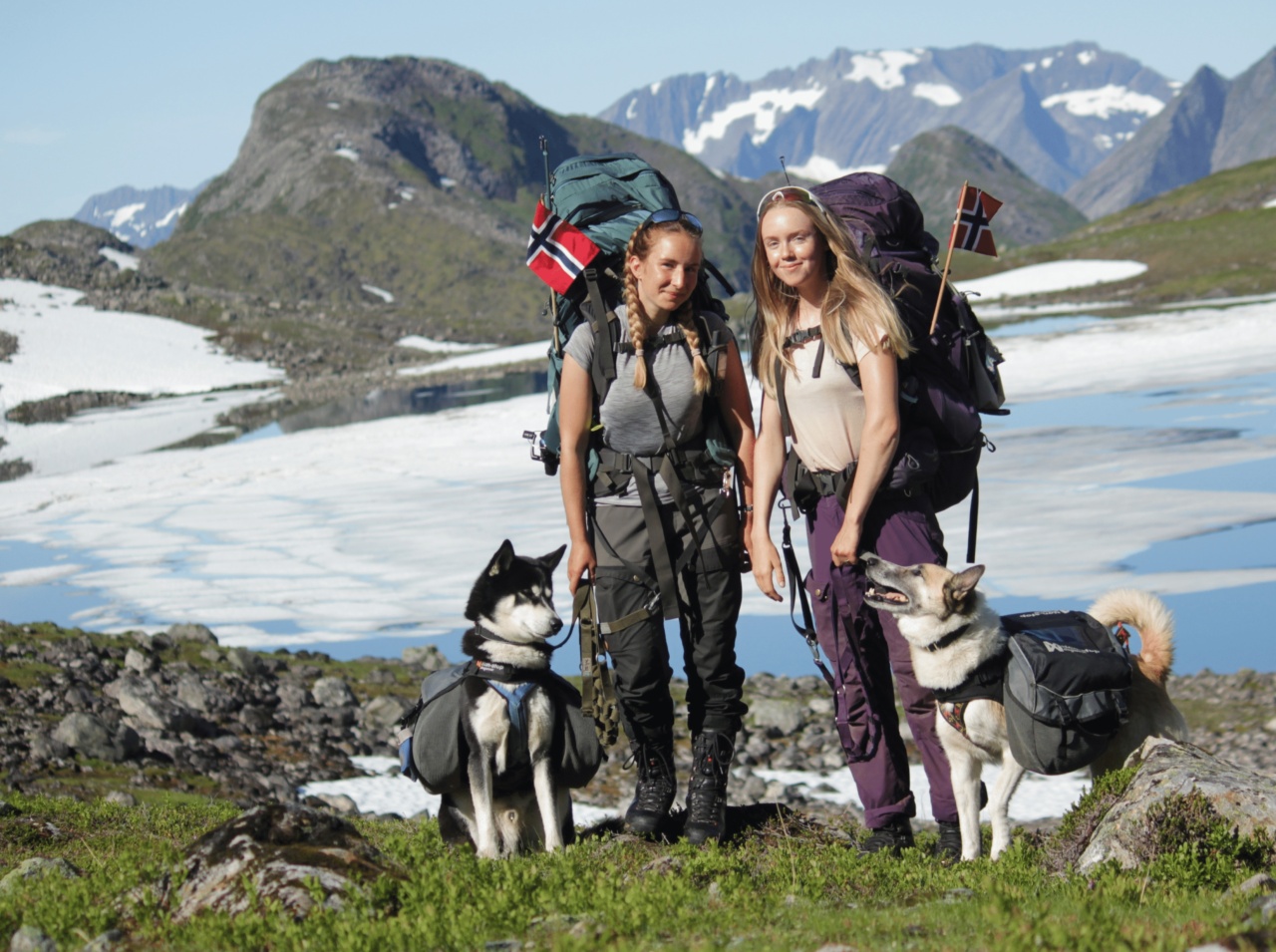 ‘Unexplained illness’ claims dogs in Norway