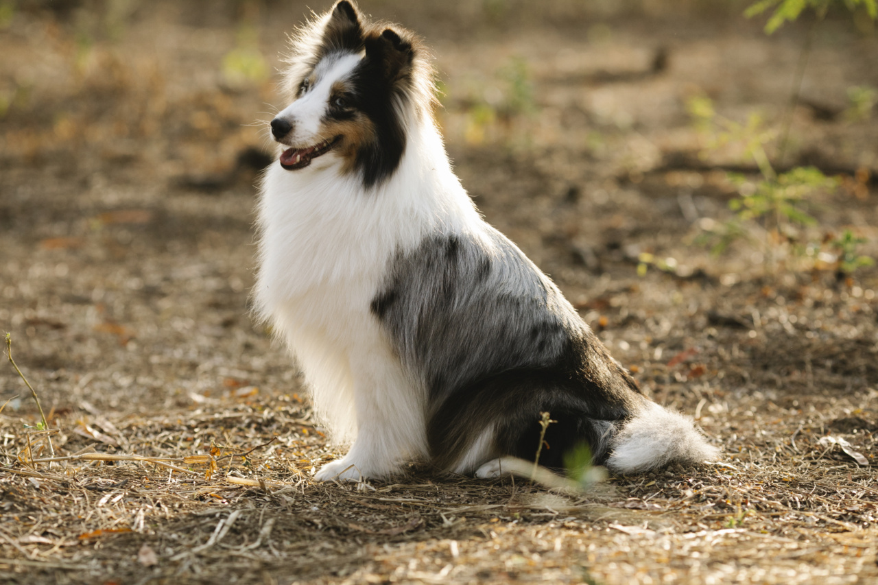 How to soothe dry mouth: Causes and remedies.