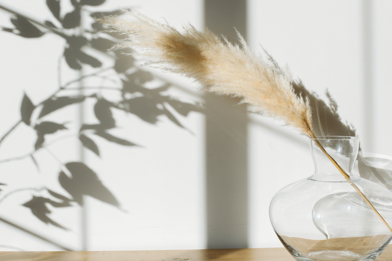 Transform your dry elbows with our gentle scrub!