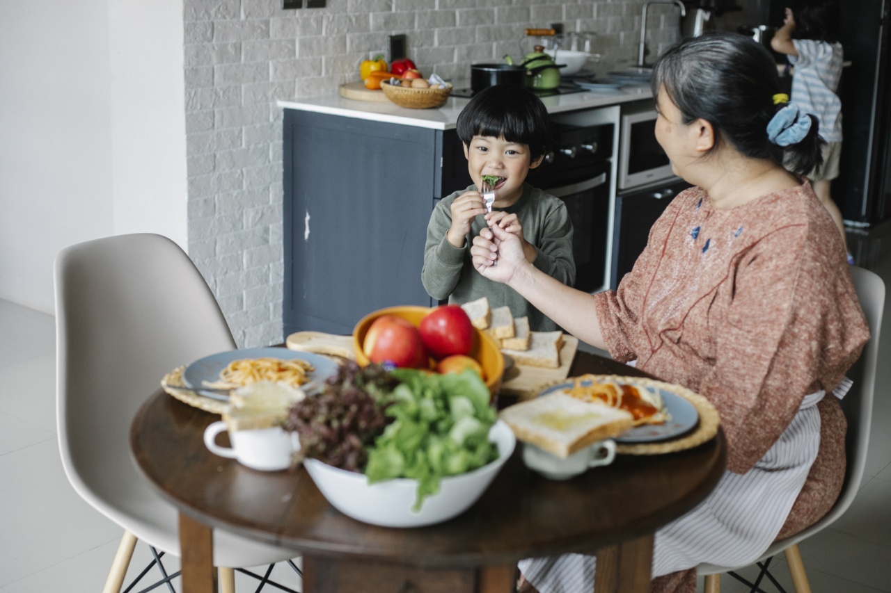 Senior Cat Nutrition: Foods to Keep Your Feline Happy and Healthy