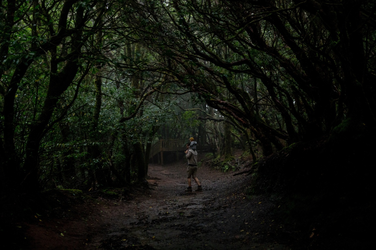 The Dark Side of Wood: Understanding its Impact on Children