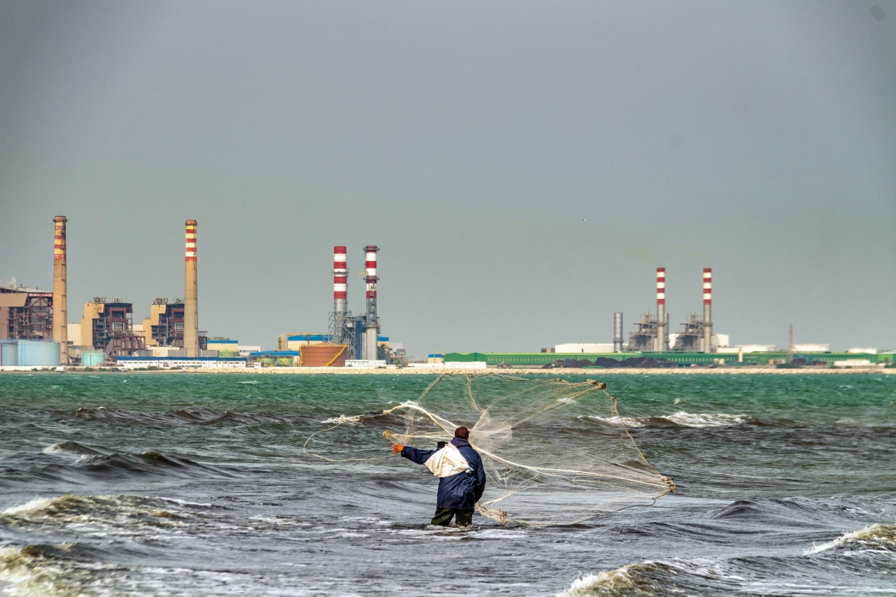 Worsening condition of valuable fatty fishery