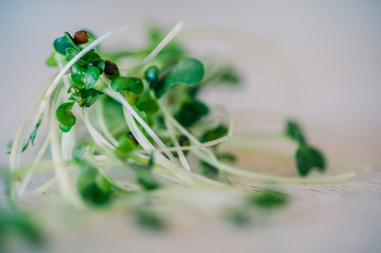 The Great Food Debate: Organic vs Conventional