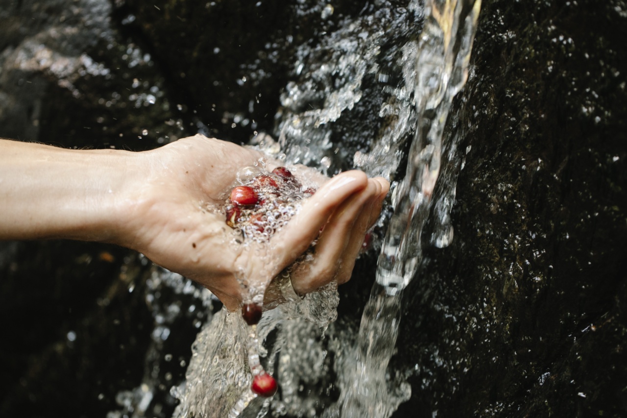 10 reasons to wash your hands with cold water